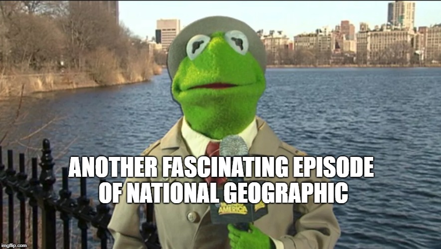 ANOTHER FASCINATING EPISODE OF NATIONAL GEOGRAPHIC | image tagged in national geographic,the muppets | made w/ Imgflip meme maker