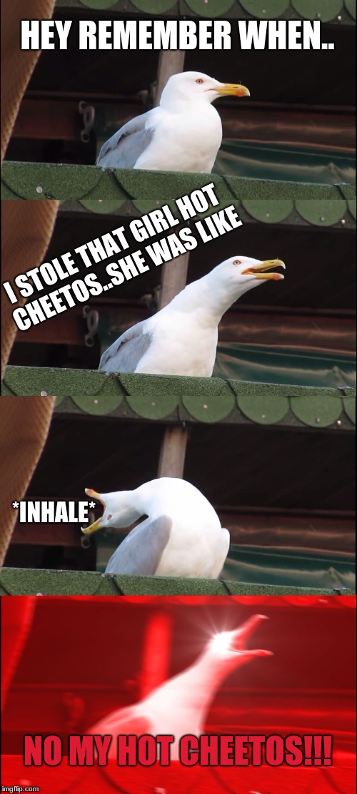 Inhaling Seagull | HEY REMEMBER WHEN.. I STOLE THAT GIRL HOT CHEETOS..SHE WAS LIKE; *INHALE*; NO MY HOT CHEETOS!!! | image tagged in memes,inhaling seagull | made w/ Imgflip meme maker