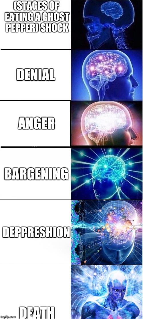 expanding brain extended | (STAGES OF EATING A GHOST PEPPER) SHOCK; DENIAL; ANGER; BARGENING; DEPPRESHION; DEATH | image tagged in expanding brain extended | made w/ Imgflip meme maker