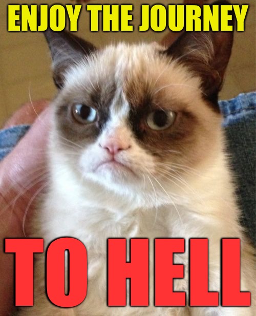 Grumpy Cat Meme | ENJOY THE JOURNEY; TO HELL | image tagged in memes,grumpy cat | made w/ Imgflip meme maker