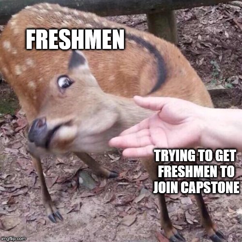 nope | FRESHMEN; TRYING TO GET FRESHMEN TO JOIN CAPSTONE | image tagged in nope | made w/ Imgflip meme maker