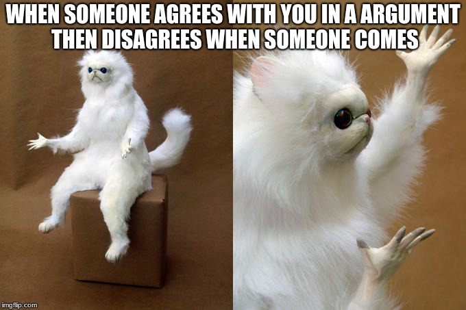 Persian Cat Room Guardian Meme | WHEN SOMEONE AGREES WITH YOU IN A ARGUMENT THEN DISAGREES WHEN SOMEONE COMES | image tagged in memes,persian cat room guardian | made w/ Imgflip meme maker