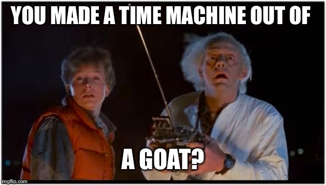 I know but it’s... it’s... hairy. | YOU MADE A TIME MACHINE OUT OF; A GOAT? | image tagged in 2018 bttf,marty mcfly,dr emmit brown,back future time travel | made w/ Imgflip meme maker