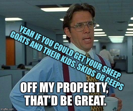 Make them go Shewe | YEAH IF YOU COULD GET YOUR SHEEP, GOATS AND THEIR KIDS, SKIDS OR GEEPS; OFF MY PROPERTY, THAT’D BE GREAT. | image tagged in memes,that would be great,it would be,meme | made w/ Imgflip meme maker