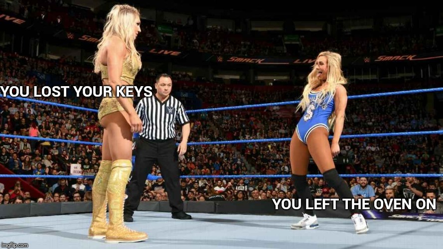 YOU LOST YOUR KEYS YOU LEFT THE OVEN ON | image tagged in wwe divas | made w/ Imgflip meme maker