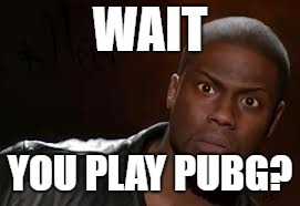 Kevin Hart Meme | WAIT; YOU PLAY PUBG? | image tagged in memes,kevin hart the hell | made w/ Imgflip meme maker