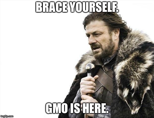 Brace yourself, GMO  | BRACE YOURSELF. GMO IS HERE. | image tagged in memes,brace yourselves x is coming | made w/ Imgflip meme maker