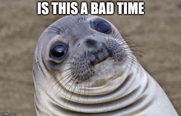 Awkward Moment Sealion Meme | IS THIS A BAD TIME | image tagged in memes,awkward moment sealion | made w/ Imgflip meme maker