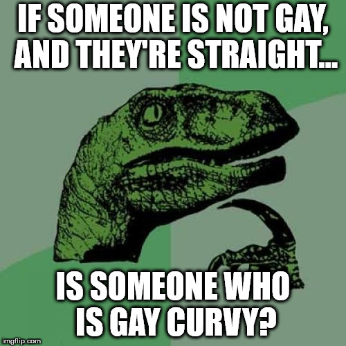 Philosoraptor | IF SOMEONE IS NOT GAY, AND THEY'RE STRAIGHT... IS SOMEONE WHO IS GAY CURVY? | image tagged in memes,philosoraptor | made w/ Imgflip meme maker