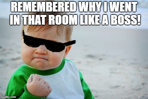 Success Kid Original Meme | REMEMBERED WHY I WENT IN THAT ROOM LIKE A BOSS! | image tagged in memes,success kid original | made w/ Imgflip meme maker