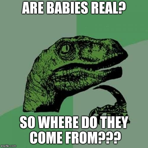 Philosoraptor Meme | ARE BABIES REAL? SO WHERE DO THEY COME FROM??? | image tagged in memes,philosoraptor | made w/ Imgflip meme maker