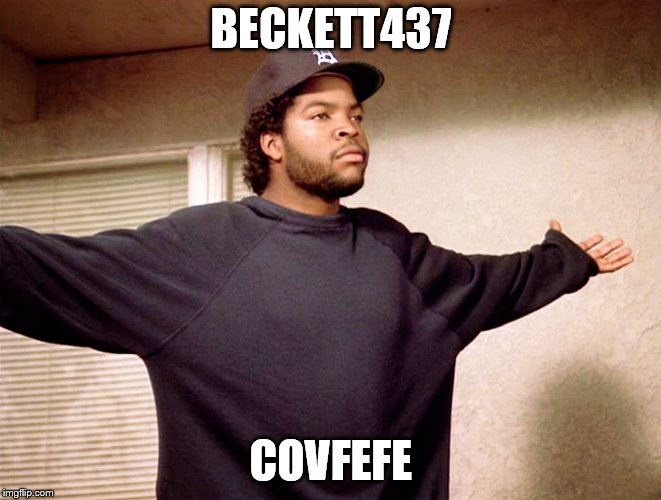 ice cube | BECKETT437; COVFEFE | image tagged in ice cube | made w/ Imgflip meme maker