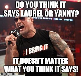 The Rock It Doesn't Matter | DO YOU THINK IT SAYS LAUREL OR YANNY? IT DOESN'T MATTER WHAT YOU THINK IT SAYS! | image tagged in the rock it doesn't matter | made w/ Imgflip meme maker