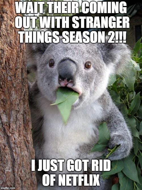 Surprised Koala Meme | WAIT THEIR COMING OUT WITH STRANGER THINGS SEASON 2!!! I JUST GOT RID OF NETFLIX | image tagged in memes,surprised koala | made w/ Imgflip meme maker