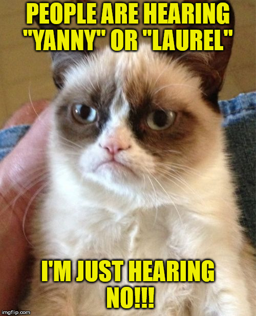 Yanny - Laurel | PEOPLE ARE HEARING "YANNY" OR "LAUREL"; I'M JUST HEARING NO!!! | image tagged in memes,grumpy cat | made w/ Imgflip meme maker