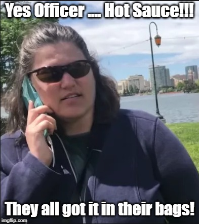 Yes Officer .... Hotsauce!!!! | Yes Officer .... Hot Sauce!!! They all got it in their bags! | image tagged in cooking out while black | made w/ Imgflip meme maker