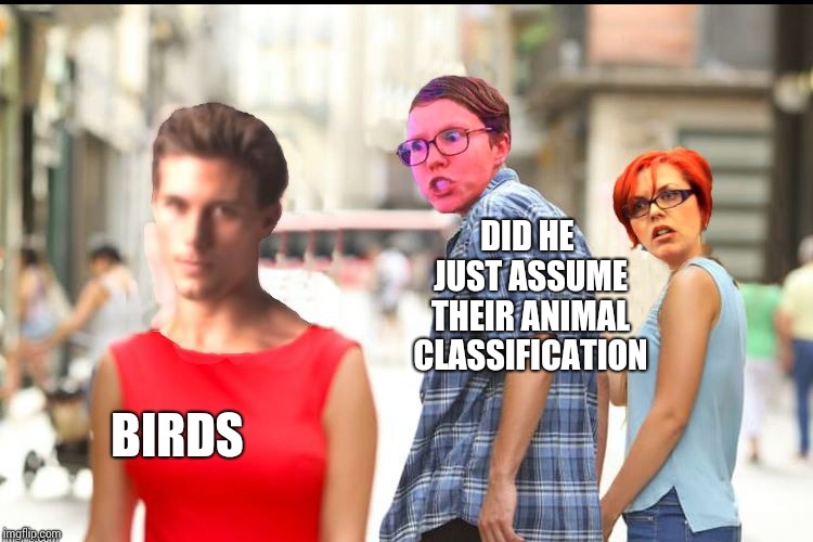 TRIGGERED | BIRDS DID HE JUST ASSUME THEIR ANIMAL CLASSIFICATION | image tagged in triggered | made w/ Imgflip meme maker