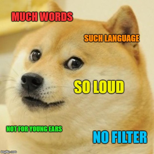 Doge Meme | MUCH WORDS SUCH LANGUAGE SO LOUD NOT FOR YOUNG EARS NO FILTER | image tagged in memes,doge | made w/ Imgflip meme maker