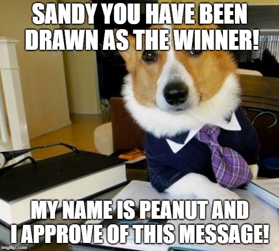 Lawyer Corgi Dog | SANDY YOU HAVE BEEN DRAWN AS THE WINNER! MY NAME IS PEANUT AND I APPROVE OF THIS MESSAGE! | image tagged in lawyer corgi dog | made w/ Imgflip meme maker