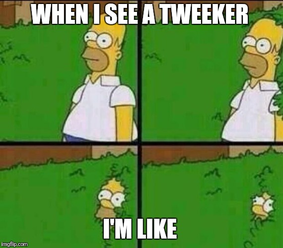 Homer Simpson in Bush - Large | WHEN I SEE A TWEEKER; I'M LIKE | image tagged in homer simpson in bush - large | made w/ Imgflip meme maker