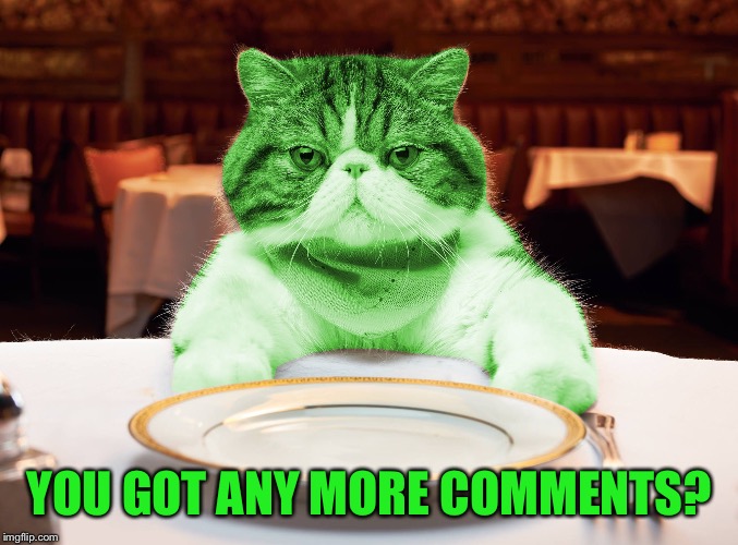 RayCat Hungry | YOU GOT ANY MORE COMMENTS? | image tagged in raycat hungry | made w/ Imgflip meme maker