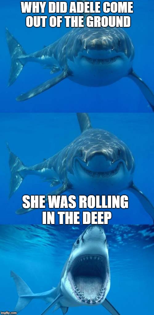 shark jokes | WHY DID ADELE COME OUT OF THE GROUND; SHE WAS ROLLING IN THE DEEP | image tagged in bad shark pun,funny | made w/ Imgflip meme maker