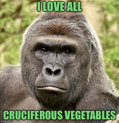 Har | I LOVE ALL CRUCIFEROUS VEGETABLES | image tagged in har | made w/ Imgflip meme maker