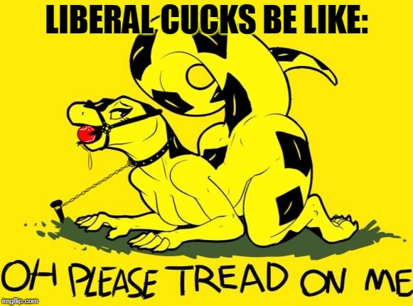 LIBERAL CUCKS BE LIKE: | image tagged in nsfw,political humor,wrong,original | made w/ Imgflip meme maker