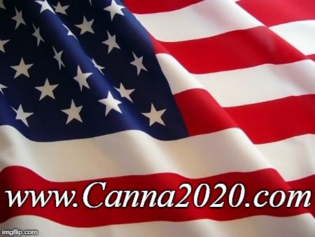 American flag | www.Canna2020.com | image tagged in american flag | made w/ Imgflip meme maker