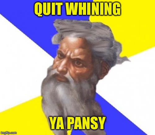 QUIT WHINING YA PANSY | made w/ Imgflip meme maker