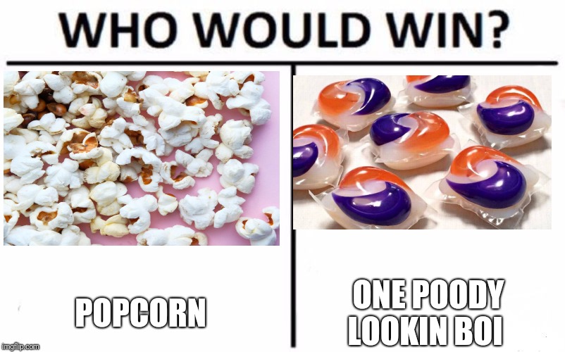 Who Would Win? Meme | POPCORN; ONE POODY LOOKIN BOI | image tagged in memes,who would win | made w/ Imgflip meme maker