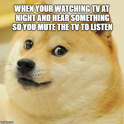 Doge | WHEN YOUR WATCHING TV AT NIGHT AND HEAR SOMETHING SO YOU MUTE THE TV TO LISTEN | image tagged in memes,doge | made w/ Imgflip meme maker