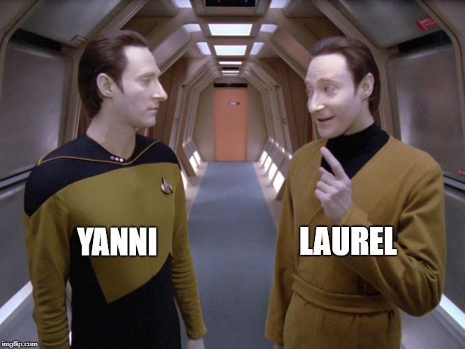 data lore |  YANNI; LAUREL | image tagged in data lore | made w/ Imgflip meme maker