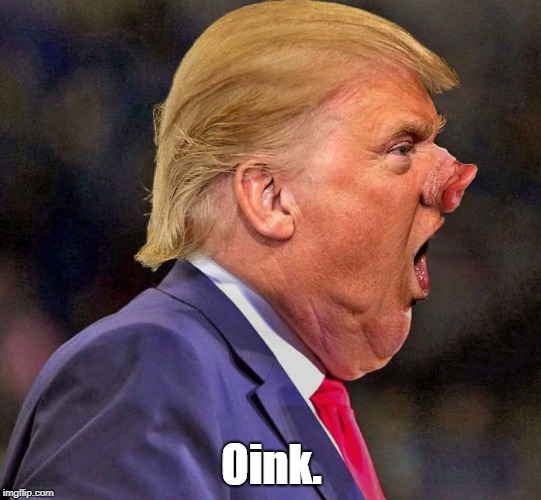 "Oink" | Oink. | image tagged in deplorable donald,despicable donald,devious donald,dishonorable donald,destestable donald,dishonest donald | made w/ Imgflip meme maker
