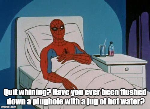 Spiderman Hospital | Quit whining? Have you ever been flushed down a plughole with a jug of hot water? | image tagged in memes,spiderman hospital,spiderman | made w/ Imgflip meme maker