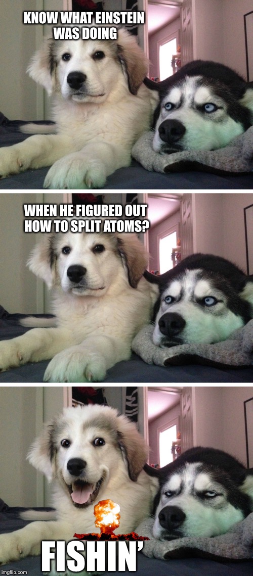 Bad pun dogs | KNOW WHAT EINSTEIN WAS DOING; WHEN HE FIGURED OUT HOW TO SPLIT ATOMS? FISHIN’ | image tagged in bad pun dogs,memes,bad jokes | made w/ Imgflip meme maker