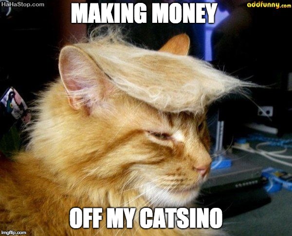 donald trump cat | MAKING MONEY; OFF MY CATSINO | image tagged in donald trump cat | made w/ Imgflip meme maker