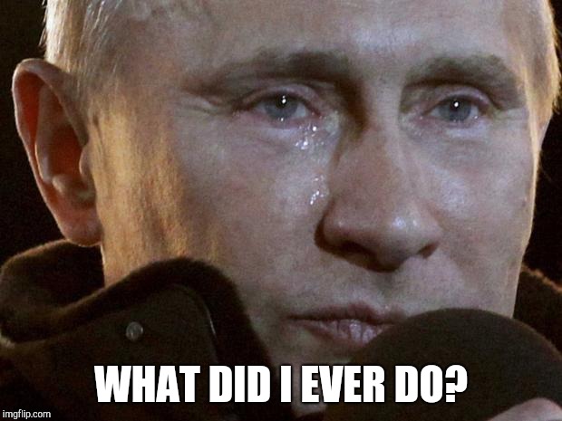 Putin Crying | WHAT DID I EVER DO? | image tagged in putin crying | made w/ Imgflip meme maker