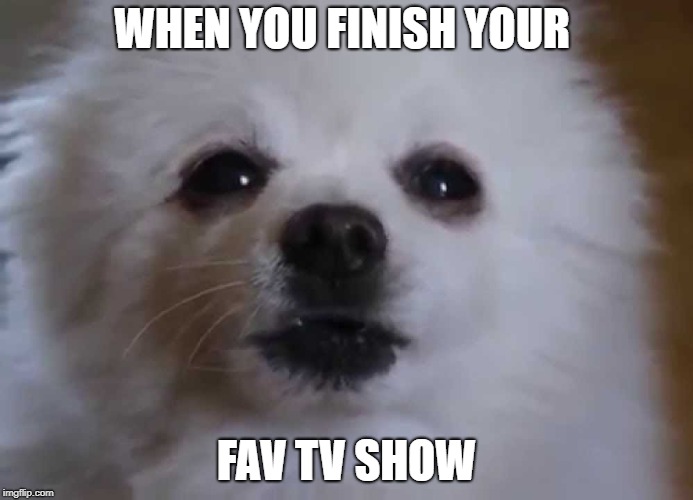 Doggy sad  | WHEN YOU FINISH YOUR; FAV TV SHOW | image tagged in sad,dog,cute,doggy,gabe the dog | made w/ Imgflip meme maker