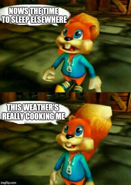 Conker  | NOWS THE TIME TO SLEEP ELSEWHERE; THIS WEATHER'S REALLY COOKING ME | image tagged in conker | made w/ Imgflip meme maker