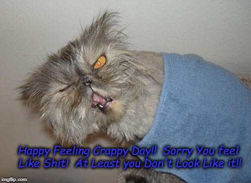 Feeling Crappy Day | Happy Feeling Crappy Day!!  Sorry You feel Like Shit!  At Least you Don't Look Like it!! | image tagged in get well soon | made w/ Imgflip meme maker
