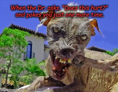 Does this hurt? | When the Dr. asks, "Does this hurt?" and pokes you just one more time. | image tagged in just plain comedy | made w/ Imgflip meme maker