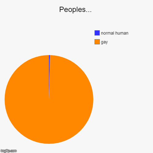 Peoples... | gay, normal human | image tagged in funny,pie charts | made w/ Imgflip chart maker