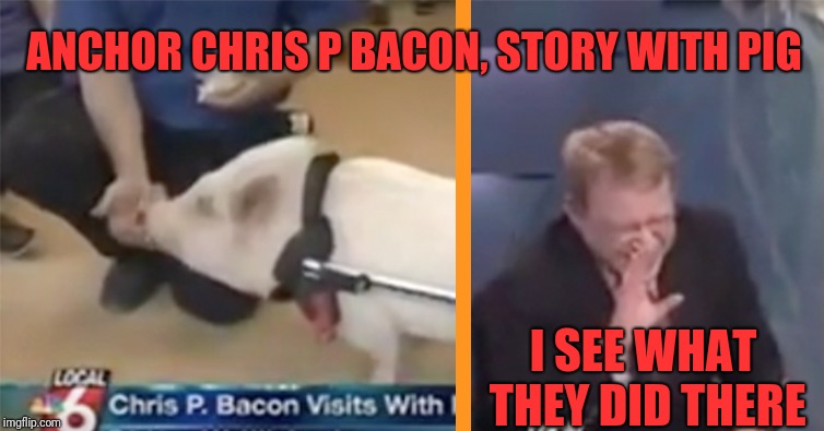 Lighter side of the news | ANCHOR CHRIS P BACON, STORY WITH PIG; I SEE WHAT THEY DID THERE | image tagged in memes,funny,dank,chris p bacon,news | made w/ Imgflip meme maker