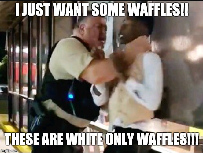 I JUST WANT SOME WAFFLES!! THESE ARE WHITE ONLY WAFFLES!!! | image tagged in waffle house | made w/ Imgflip meme maker