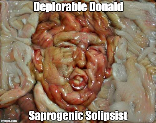 Deplorable Donald Saprogenic Solipsist | made w/ Imgflip meme maker