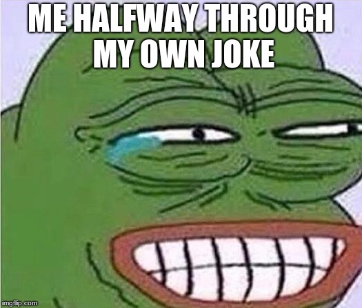 laughing at my own jokes | ME HALFWAY THROUGH MY OWN JOKE | image tagged in tag | made w/ Imgflip meme maker