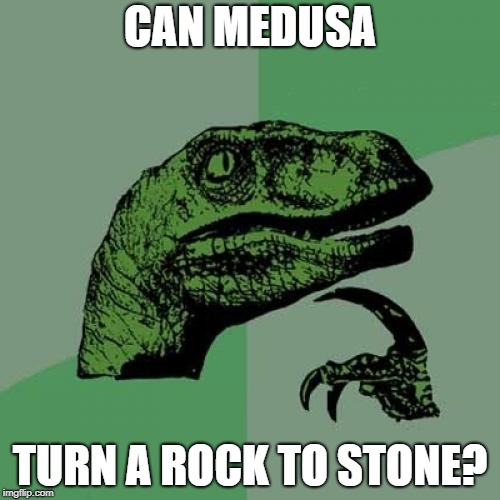 Philosoraptor | CAN MEDUSA; TURN A ROCK TO STONE? | image tagged in memes,philosoraptor | made w/ Imgflip meme maker