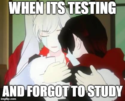 RWBY Ruby and Weiss crying | WHEN ITS TESTING; AND FORGOT TO STUDY | image tagged in rwby ruby and weiss crying | made w/ Imgflip meme maker