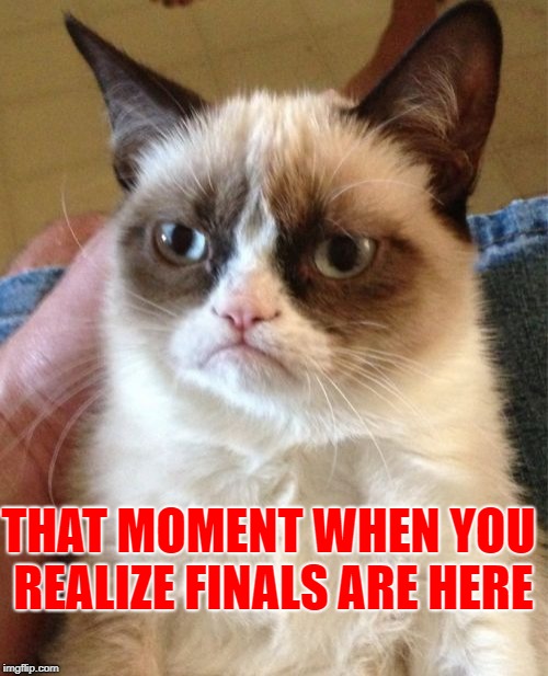 Grumpy Cat Meme | THAT MOMENT WHEN YOU REALIZE FINALS ARE HERE | image tagged in memes,grumpy cat | made w/ Imgflip meme maker